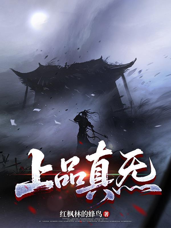 上品真炁讲的什么